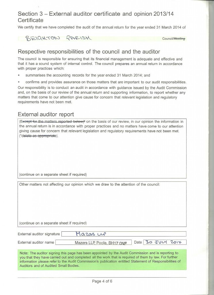 External auditor's statement